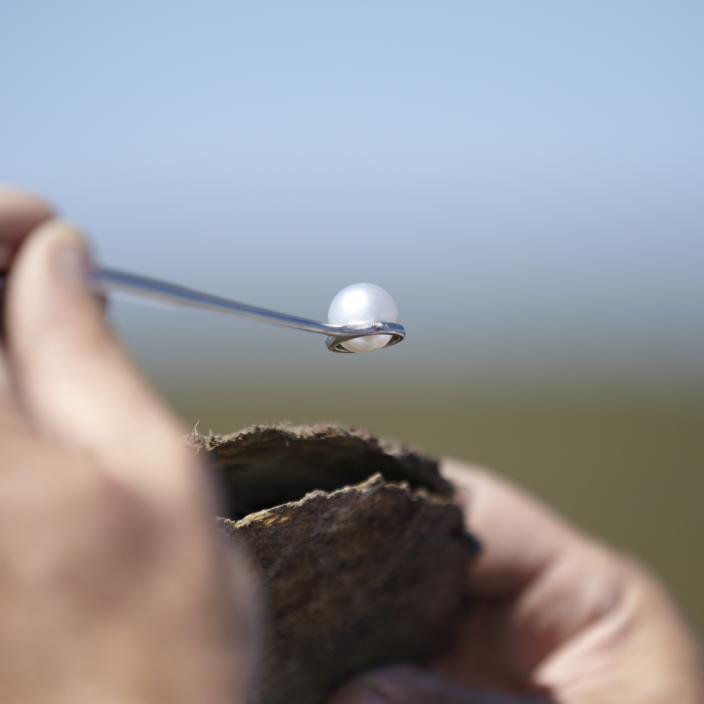 Image of a pearl